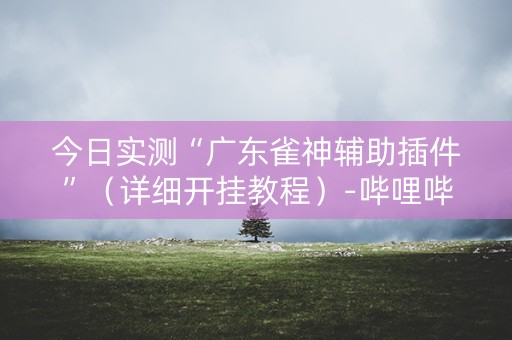 今日实测“广东雀神辅助插件”（详细开挂教程）-哔哩哔哩