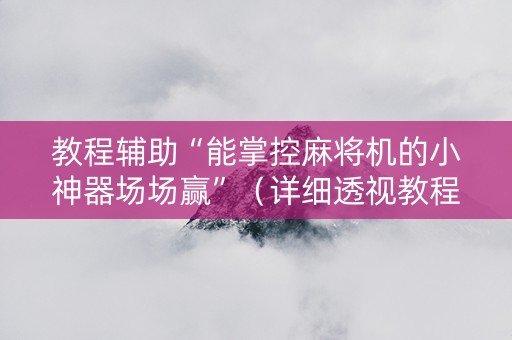 教程辅助“能掌控麻将机的小神器场场赢”（详细透视教程）-哔哩哔哩