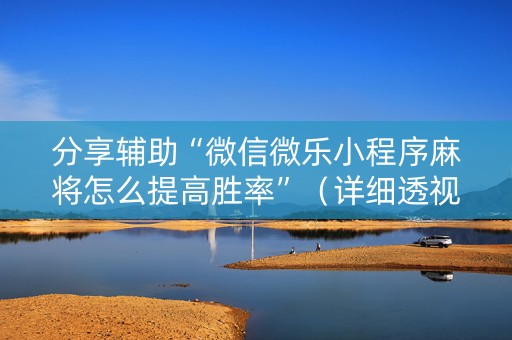 分享辅助“微信微乐小程序麻将怎么提高胜率”（详细透视教程）-哔哩哔哩