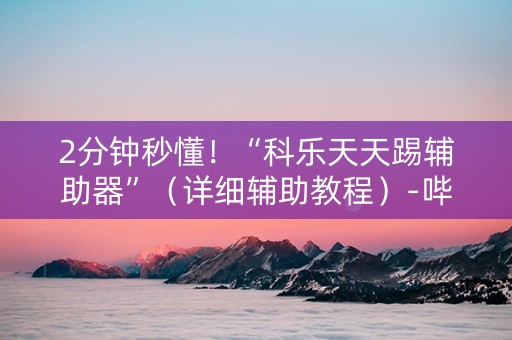 2分钟秒懂！“科乐天天踢辅助器”（详细辅助教程）-哔哩哔哩