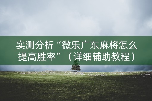 实测分析“微乐广东麻将怎么提高胜率”（详细辅助教程）-哔哩哔哩