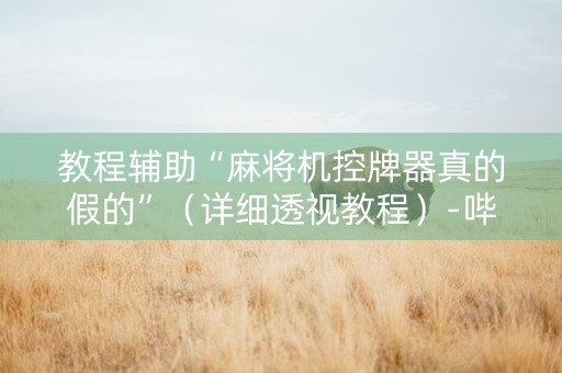 教程辅助“麻将机控牌器真的假的”（详细透视教程）-哔哩哔哩