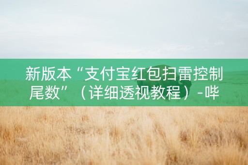 新版本“支付宝红包扫雷控制尾数”（详细透视教程）-哔哩哔哩