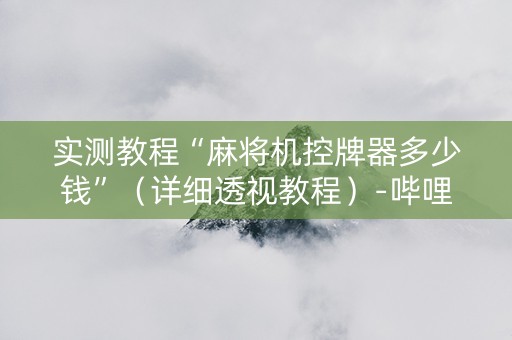 实测教程“麻将机控牌器多少钱”（详细透视教程）-哔哩哔哩