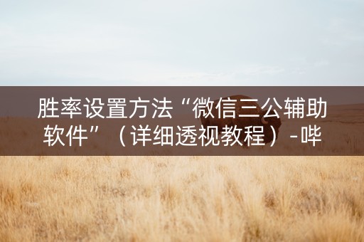 胜率设置方法“微信三公辅助软件”（详细透视教程）-哔哩哔哩