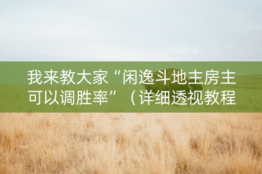 我来教大家“闲逸斗地主房主可以调胜率”（详细透视教程）-哔哩哔哩