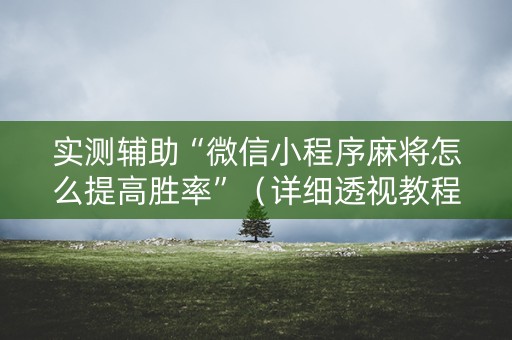 实测辅助“微信小程序麻将怎么提高胜率”（详细透视教程）-哔哩哔哩