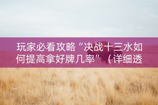 玩家必看攻略“决战十三水如何提高拿好牌几率”（详细透视教程）-哔哩哔哩