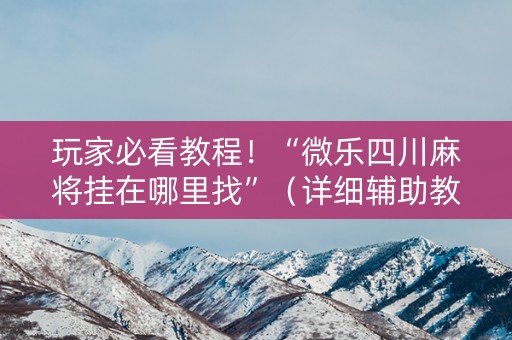 玩家必看教程！“微乐四川麻将挂在哪里找”（详细辅助教程）-哔哩哔哩