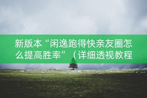 新版本“闲逸跑得快亲友圈怎么提高胜率”（详细透视教程）-哔哩哔哩