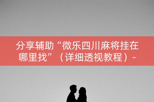 分享辅助“微乐四川麻将挂在哪里找”（详细透视教程）-哔哩哔哩