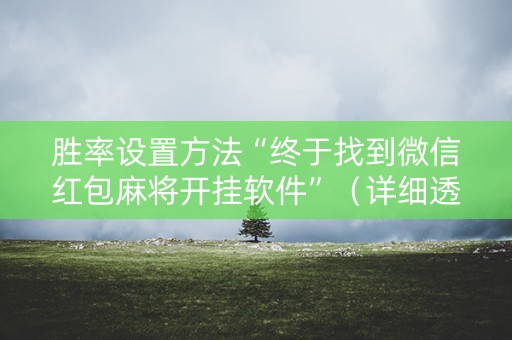 胜率设置方法“终于找到微信红包麻将开挂软件”（详细透视教程）-哔哩哔哩