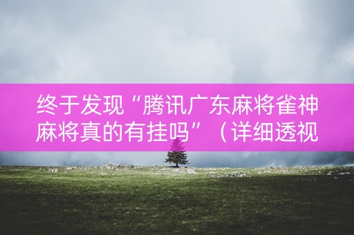 终于发现“腾讯广东麻将雀神麻将真的有挂吗”（详细透视教程）-哔哩哔哩