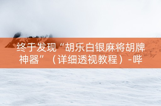 终于发现“胡乐白银麻将胡牌神器”（详细透视教程）-哔哩哔哩