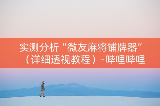 实测分析“微友麻将铺牌器”（详细透视教程）-哔哩哔哩