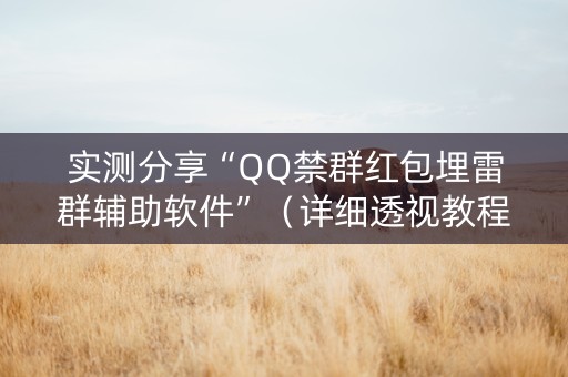 实测分享“QQ禁群红包埋雷群辅助软件”（详细透视教程）-哔哩哔哩