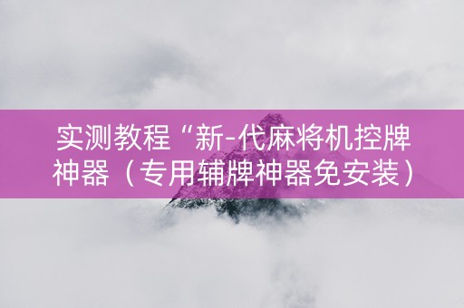 实测教程“新-代麻将机控牌神器（专用辅牌神器免安装）