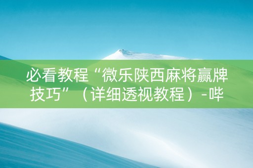 必看教程“微乐陕西麻将赢牌技巧”（详细透视教程）-哔哩哔哩