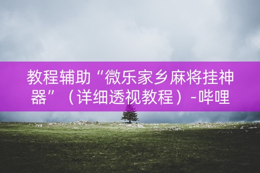 教程辅助“微乐家乡麻将挂神器”（详细透视教程）-哔哩哔哩