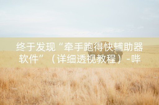 终于发现“牵手跑得快辅助器软件”（详细透视教程）-哔哩哔哩