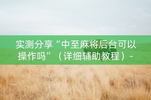 实测分享“中至麻将后台可以操作吗”（详细辅助教程）-哔哩哔哩