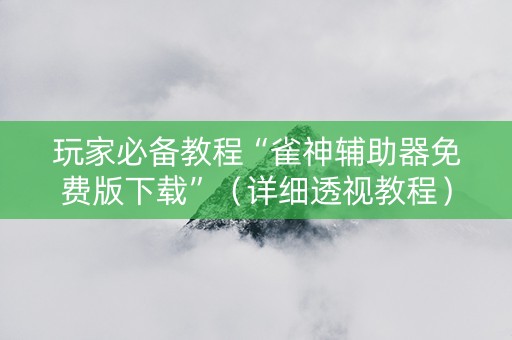 玩家必备教程“雀神辅助器免费版下载”（详细透视教程）-哔哩哔哩