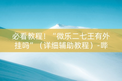 必看教程！“微乐二七王有外挂吗”（详细辅助教程）-哔哩哔哩
