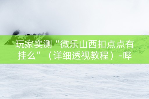 玩家实测“微乐山西扣点点有挂么”（详细透视教程）-哔哩哔哩