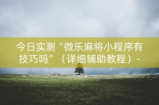 今日实测“微乐麻将小程序有技巧吗”（详细辅助教程）-哔哩哔哩