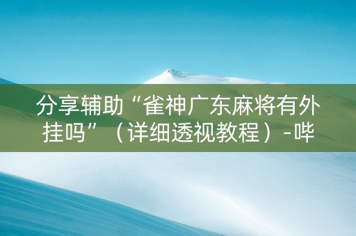 分享辅助“雀神广东麻将有外挂吗”（详细透视教程）-哔哩哔哩