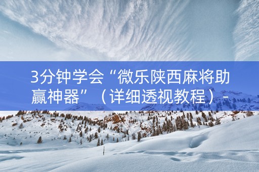 3分钟学会“微乐陕西麻将助赢神器”（详细透视教程）-哔哩哔哩