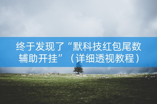 终于发现了“默科技红包尾数辅助开挂”（详细透视教程）-哔哩哔哩