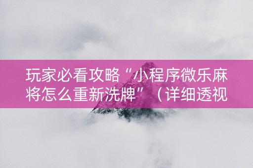 玩家必看攻略“小程序微乐麻将怎么重新洗牌”（详细透视教程）-哔哩哔哩