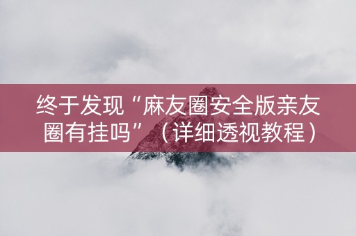 终于发现“麻友圈安全版亲友圈有挂吗”（详细透视教程）-哔哩哔哩