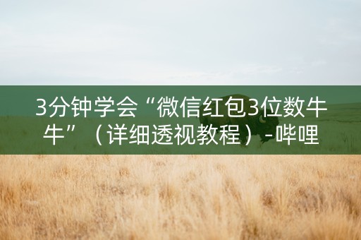 3分钟学会“微信红包3位数牛牛”（详细透视教程）-哔哩哔哩