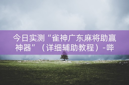 今日实测“雀神广东麻将助赢神器”（详细辅助教程）-哔哩哔哩