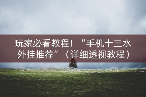 玩家必看教程！“手机十三水外挂推荐”（详细透视教程）-哔哩哔哩