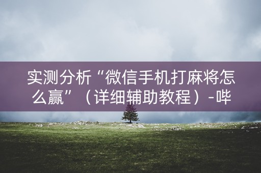 实测分析“微信手机打麻将怎么赢”（详细辅助教程）-哔哩哔哩