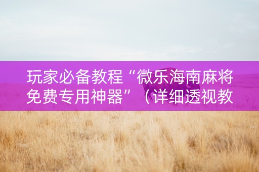 玩家必备教程“微乐海南麻将免费专用神器”（详细透视教程）-哔哩哔哩