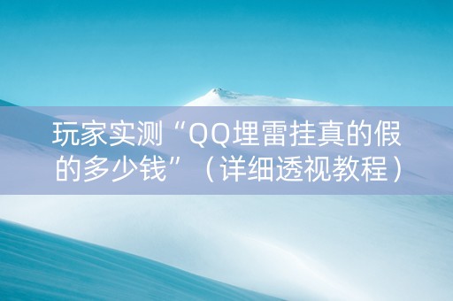 玩家实测“QQ埋雷挂真的假的多少钱”（详细透视教程）-哔哩哔哩