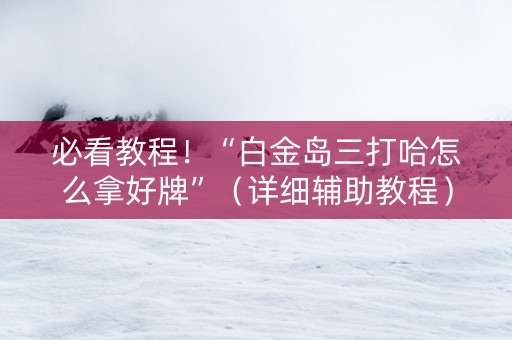必看教程！“白金岛三打哈怎么拿好牌”（详细辅助教程）-哔哩哔哩