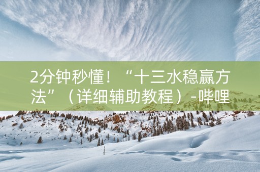 2分钟秒懂！“十三水稳赢方法”（详细辅助教程）-哔哩哔哩