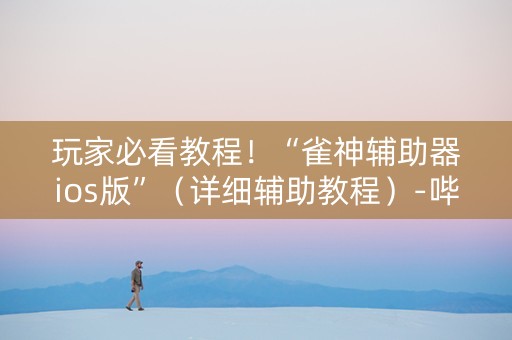玩家必看教程！“雀神辅助器ios版”（详细辅助教程）-哔哩哔哩