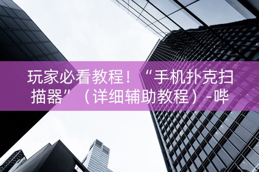 玩家必看教程！“手机扑克扫描器”（详细辅助教程）-哔哩哔哩