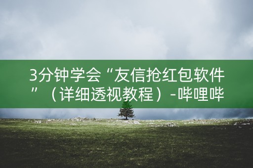 3分钟学会“友信抢红包软件”（详细透视教程）-哔哩哔哩