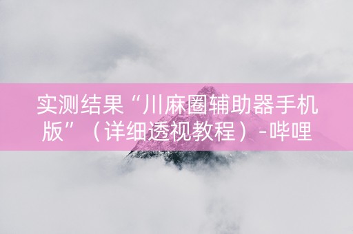 实测结果“川麻圈辅助器手机版”（详细透视教程）-哔哩哔哩