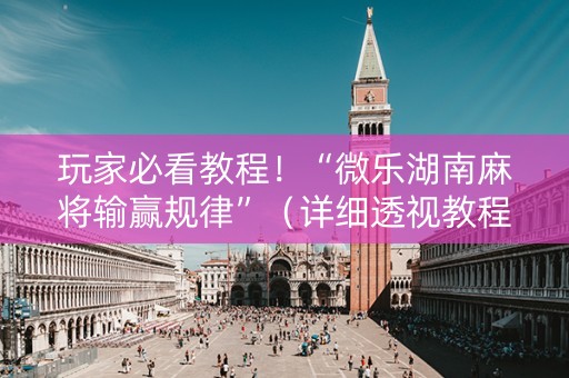 玩家必看教程！“微乐湖南麻将输赢规律”（详细透视教程）-哔哩哔哩