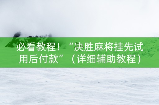 必看教程！“决胜麻将挂先试用后付款”（详细辅助教程）-哔哩哔哩