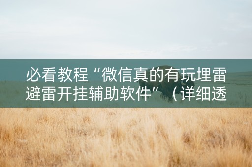 必看教程“微信真的有玩埋雷避雷开挂辅助软件”（详细透视教程）-哔哩哔哩