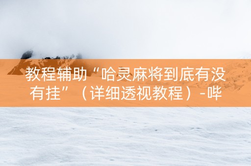 教程辅助“哈灵麻将到底有没有挂”（详细透视教程）-哔哩哔哩